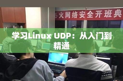学习Linux UDP：从入门到精通