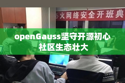 openGauss坚守开源初心 社区生态壮大